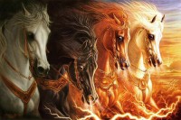 4 horsemen of the Apocalypse