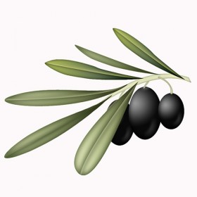 olive branch
