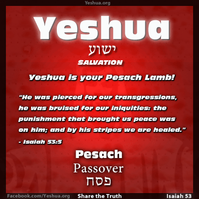 Yeshua is your Pesach Lamb