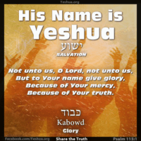 Psalm 115:1 ... To Your Name Give Glory - Yeshua is Salvation