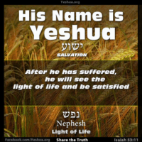 Isaiah 53:11 - Light of Life - Yeshua is Salvation